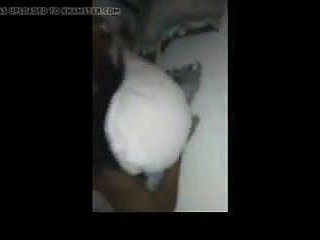 国連Marocainの百色市のUNE Africain Puteカサブランカ