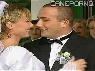 لا vedova allegra