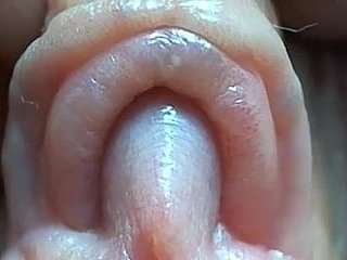 Clit sangat dekat up