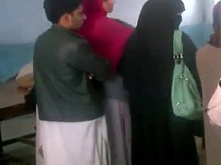 paktrying-CA