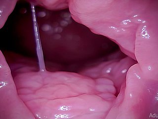 Cervix, Vore, Giantess, ASMR