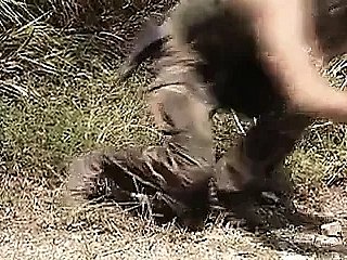 Crimes de guerra sexual (1995)