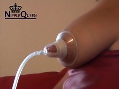 ایک گائے کی طرح محسوس