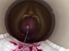 sừng bởi kiêm cam scrounger
