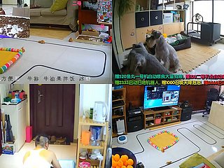 chinesisches Leben