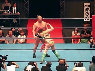ホット混合レスリング