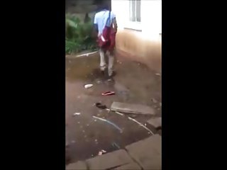 अफ्रीकी महिलाओं अपने मुर्गा से चकित