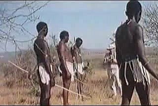 African brawny penises !real safari!
