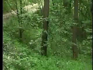 Jebacina na Avali Serbia Srpski Oleh KRMANJONAC