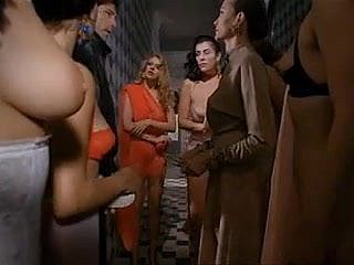 Paprika (1991) por Tinto Poise