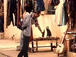 Alegría en Afrique (Alegría en África)