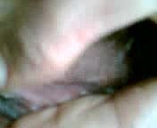 foda fazenda indonésia