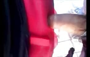 ポルノビデオのバス停