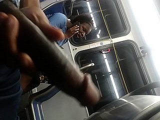 BBC Bus Flash 2