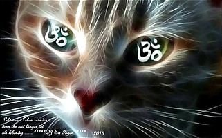 SEXY DANCE NAKED   VOL.2    DJ SIRDRAGON 2013..